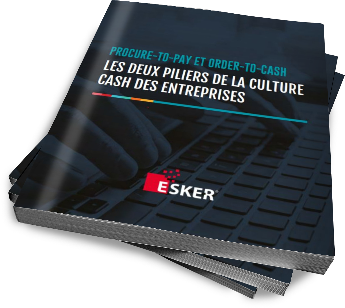 3D APAR Pilier Culture Cash.png